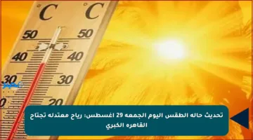 تحديث حالة الطقس اليوم الجمعة 29 أغسطس: رياح معتدلة تجتاح القاهرة الكبرى